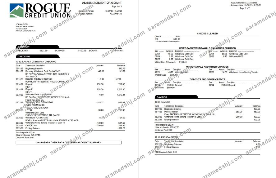 USA Oregon Rogue bank statement 3 pages